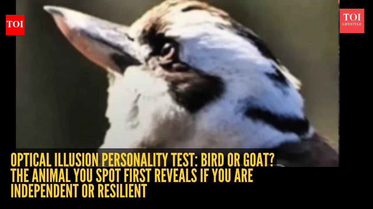 Optical illusion personality test: Bird or goat? The animal you spot first reveals if you are independent or resilient
