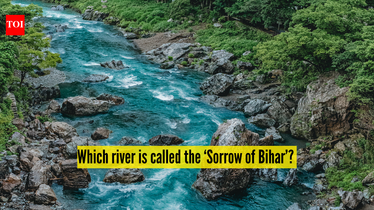 The Kosi River: Which river is called the Sorrow of Bihar? |