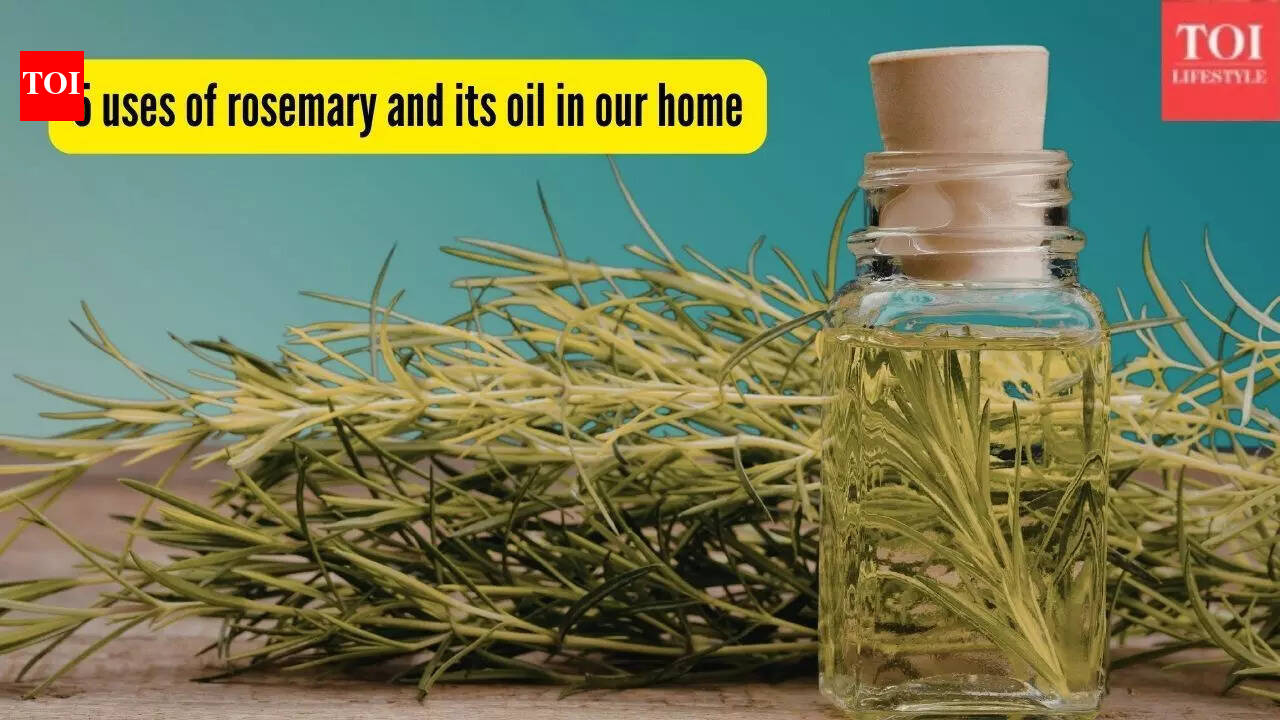 5 uses of rosemary and its oil in our home and garden