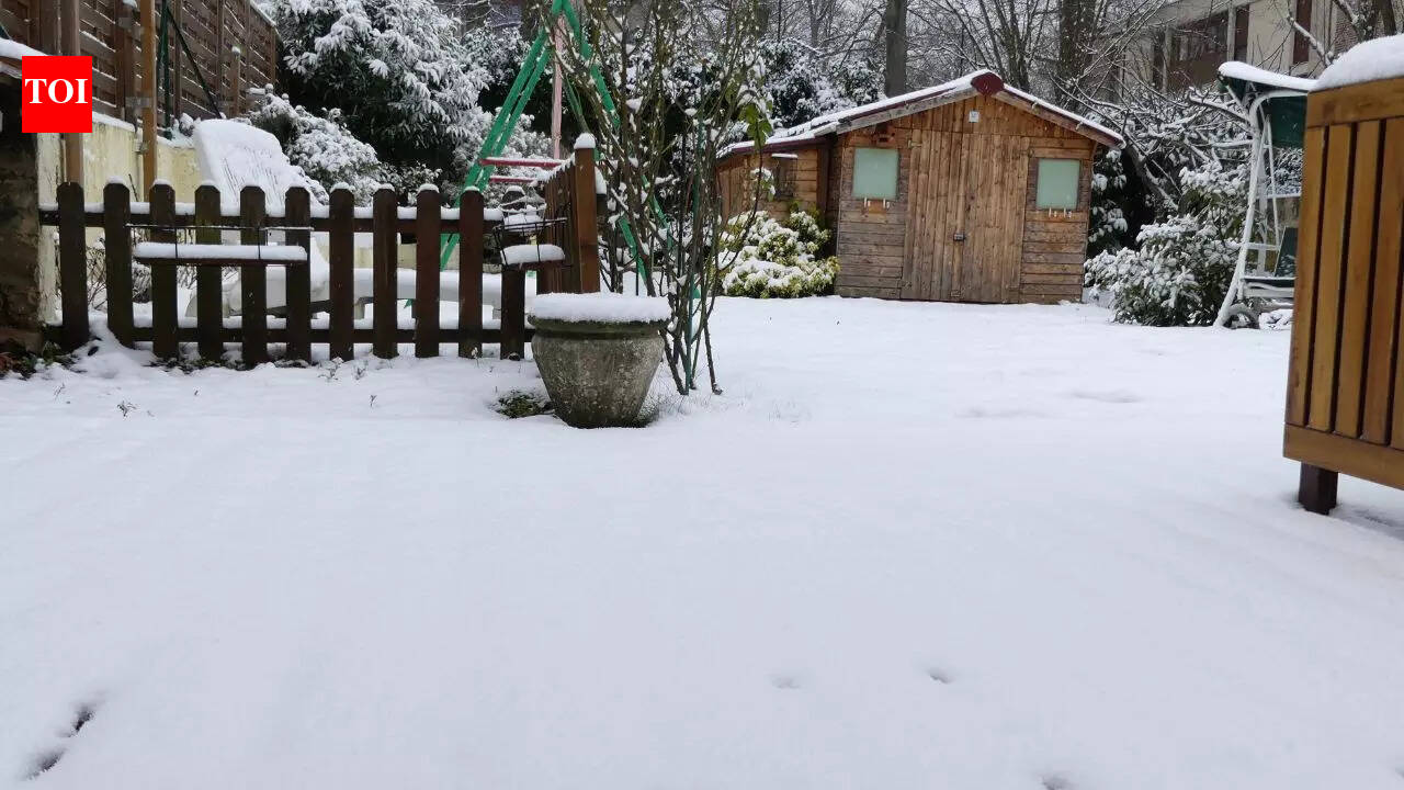 Winter warning: 7 things you should never leave outside in freezing weather |