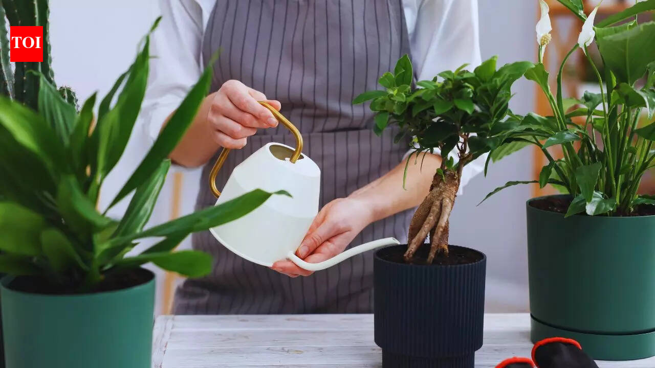 5 brilliant uses of old, broken pans and cookware |