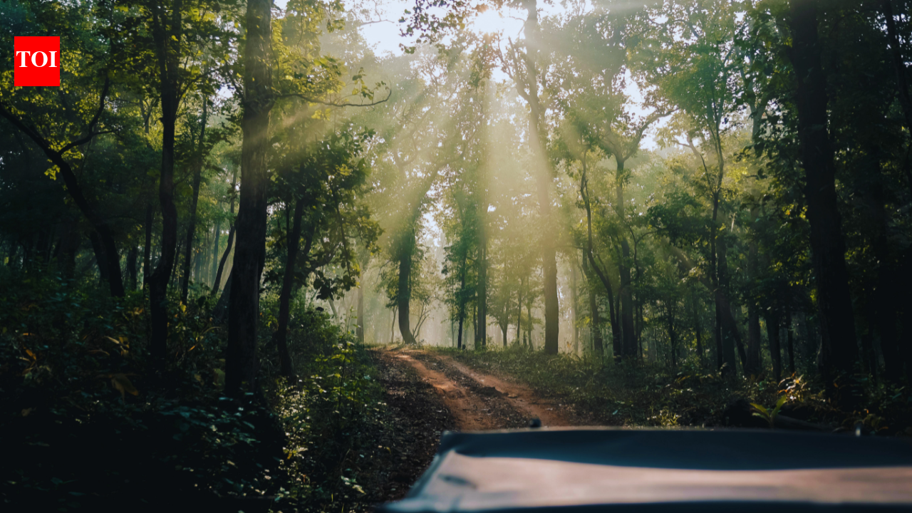 Why Mainpat is called the ‘Shimla’ of Chhattisgarh, and how Ulta Pani fooled gravity |