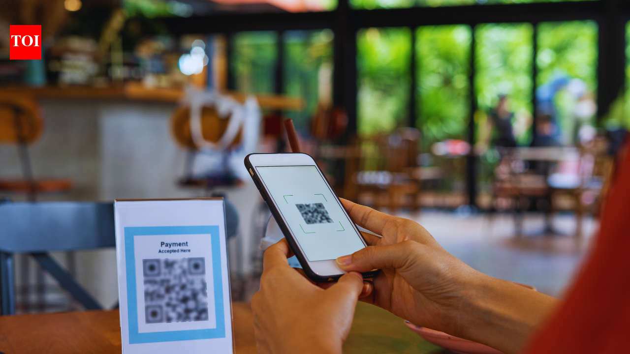 Why UPI didn’t work for this foreign tourist travelling in India, and some useful tips |