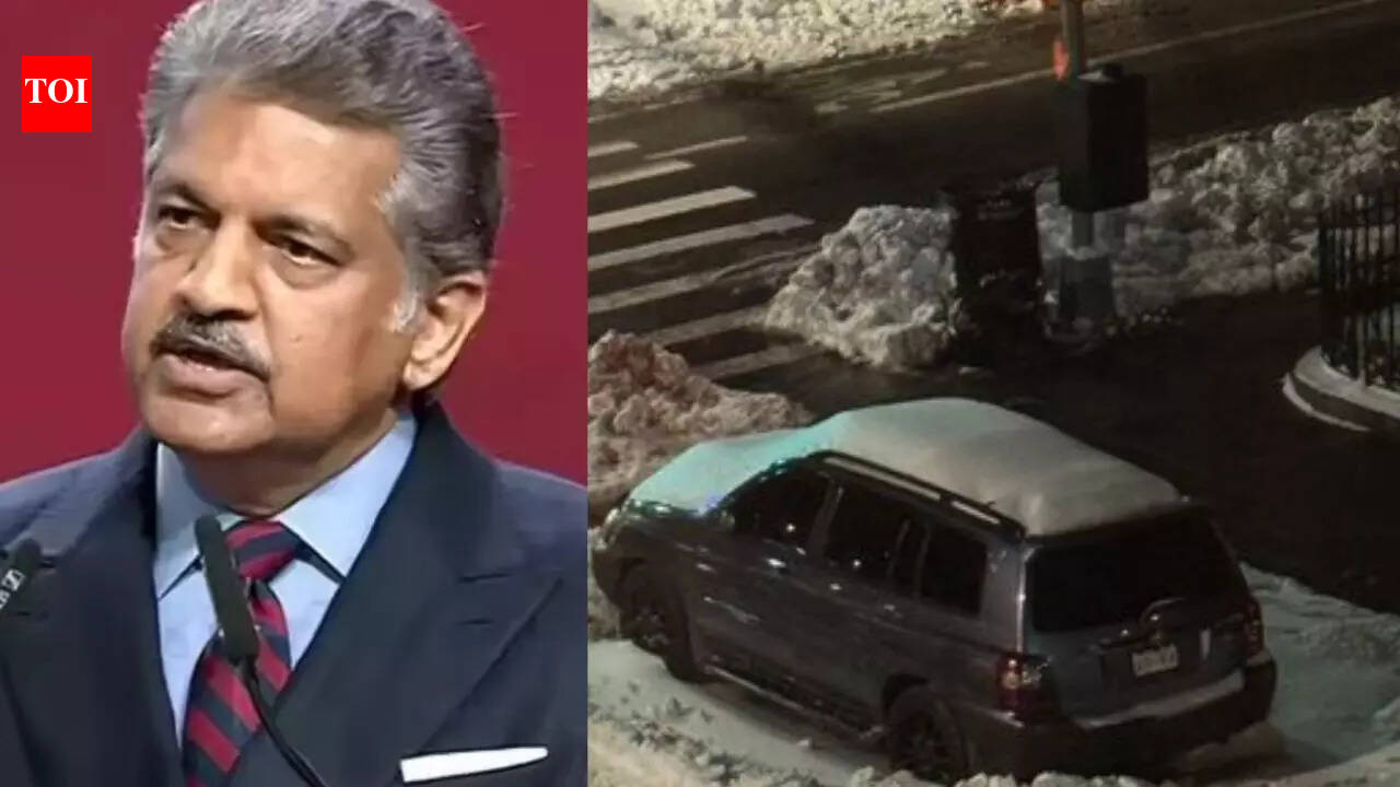 Anand Mahindra says this city feels ‘colder than Alaska’ with freezing temperatures dropping 14 degrees F |