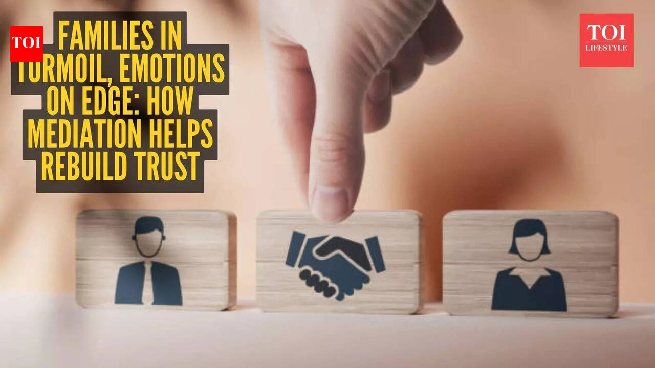 High-conflict families and emotions in crisis: How mediation actually works |