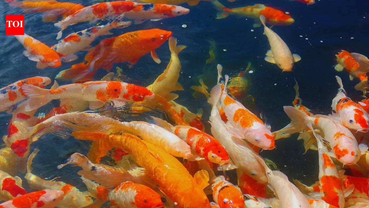 6 Vastu-recommended paintings you should have in your home to attract wealth and prosperity