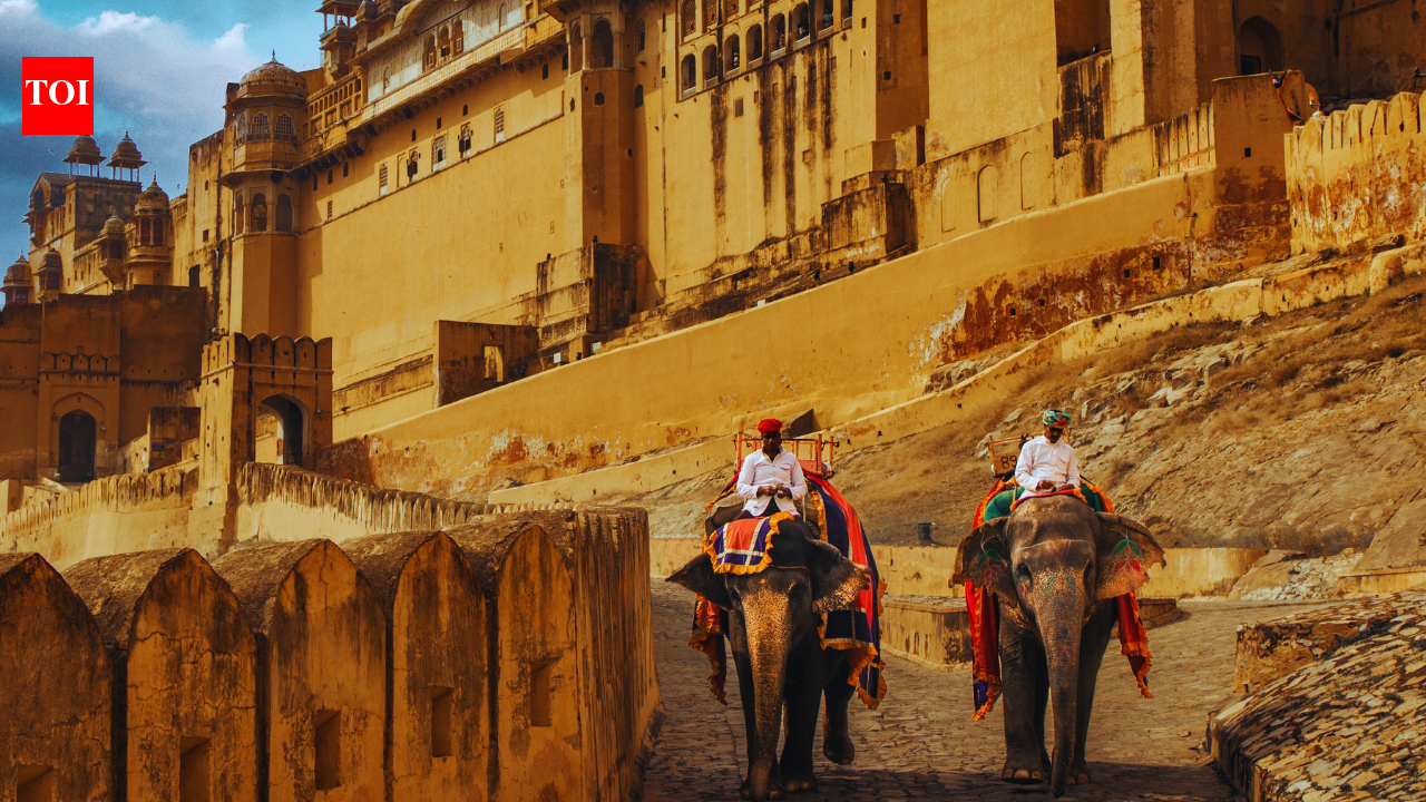 “Elephants and dromedaries in the streets… looked drugged as hell”: The experience that left this foreign traveller uncomfortable |